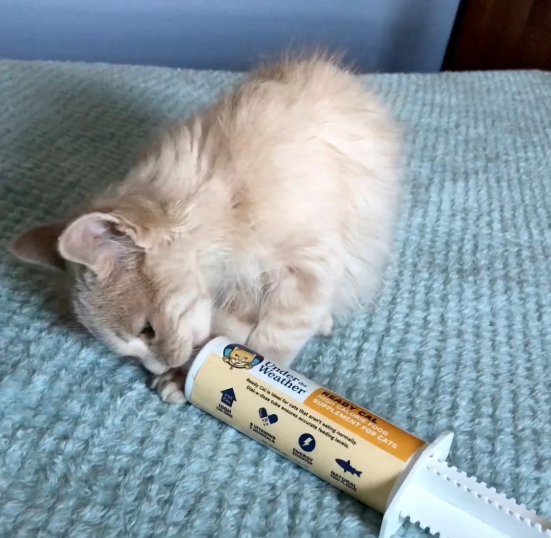 Ready Cal® High-Calorie Supplement For Cats - 100cc - Image 5