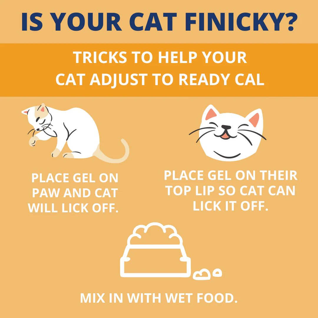 Ready Cal® High-Calorie Supplement For Cats - 100cc - Image 6