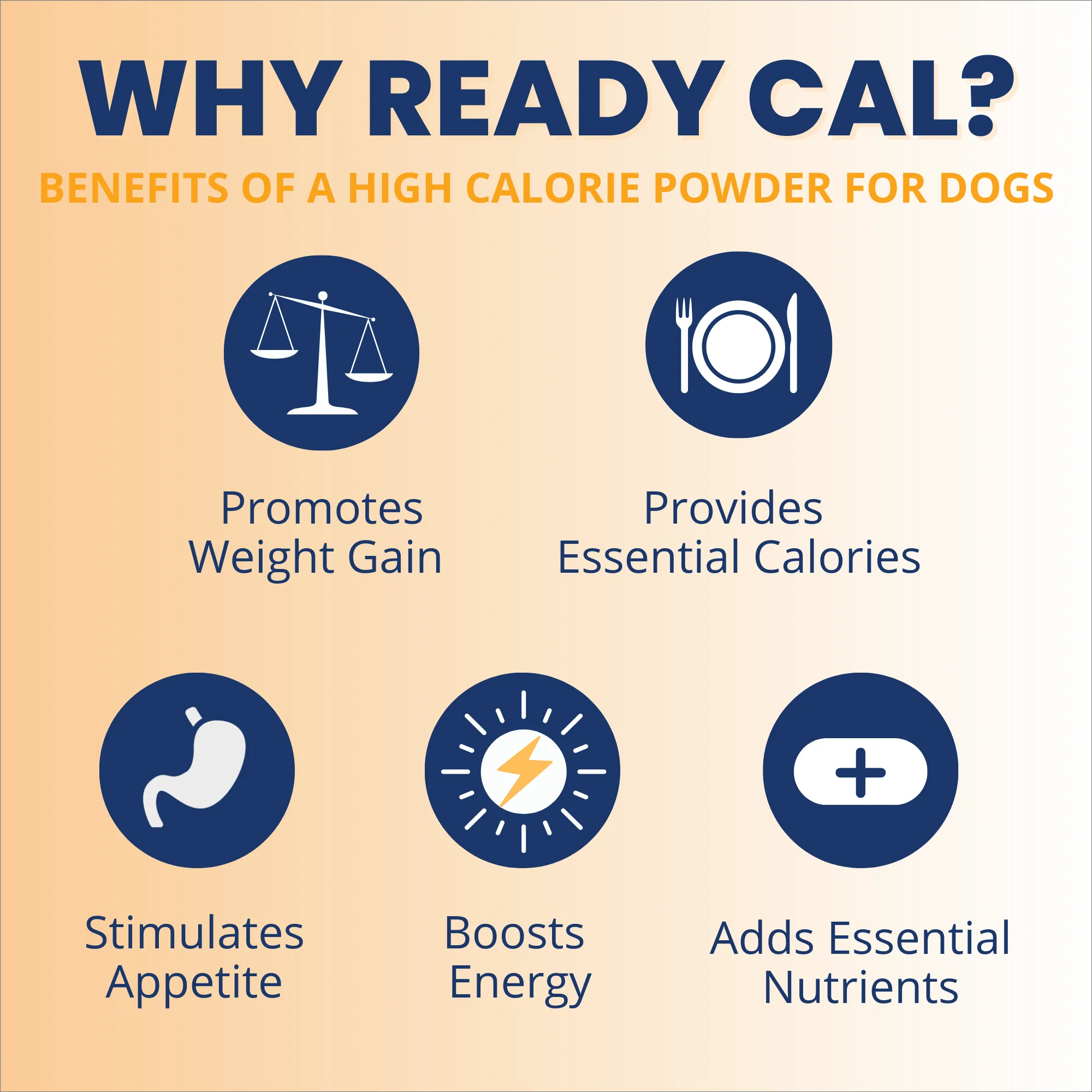 Ready Cal® High Calorie Powder for Dogs - Image 3