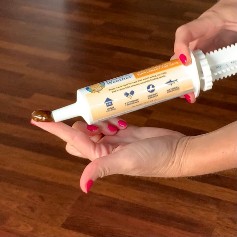 Ready Cal High-Calorie Supplement For Cats - 80cc - 2 Pack - Image 4