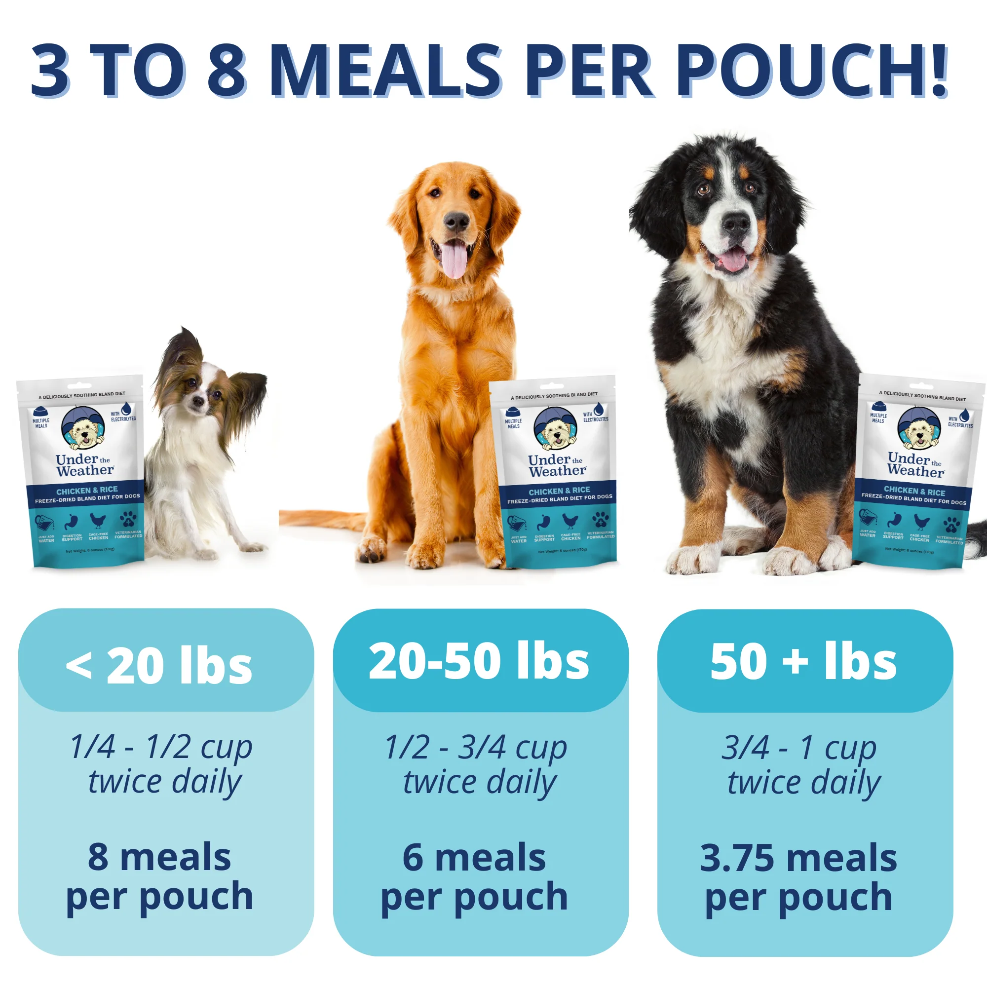 Chicken & Rice Bland Diet For Dogs - 6 pack - Image 3