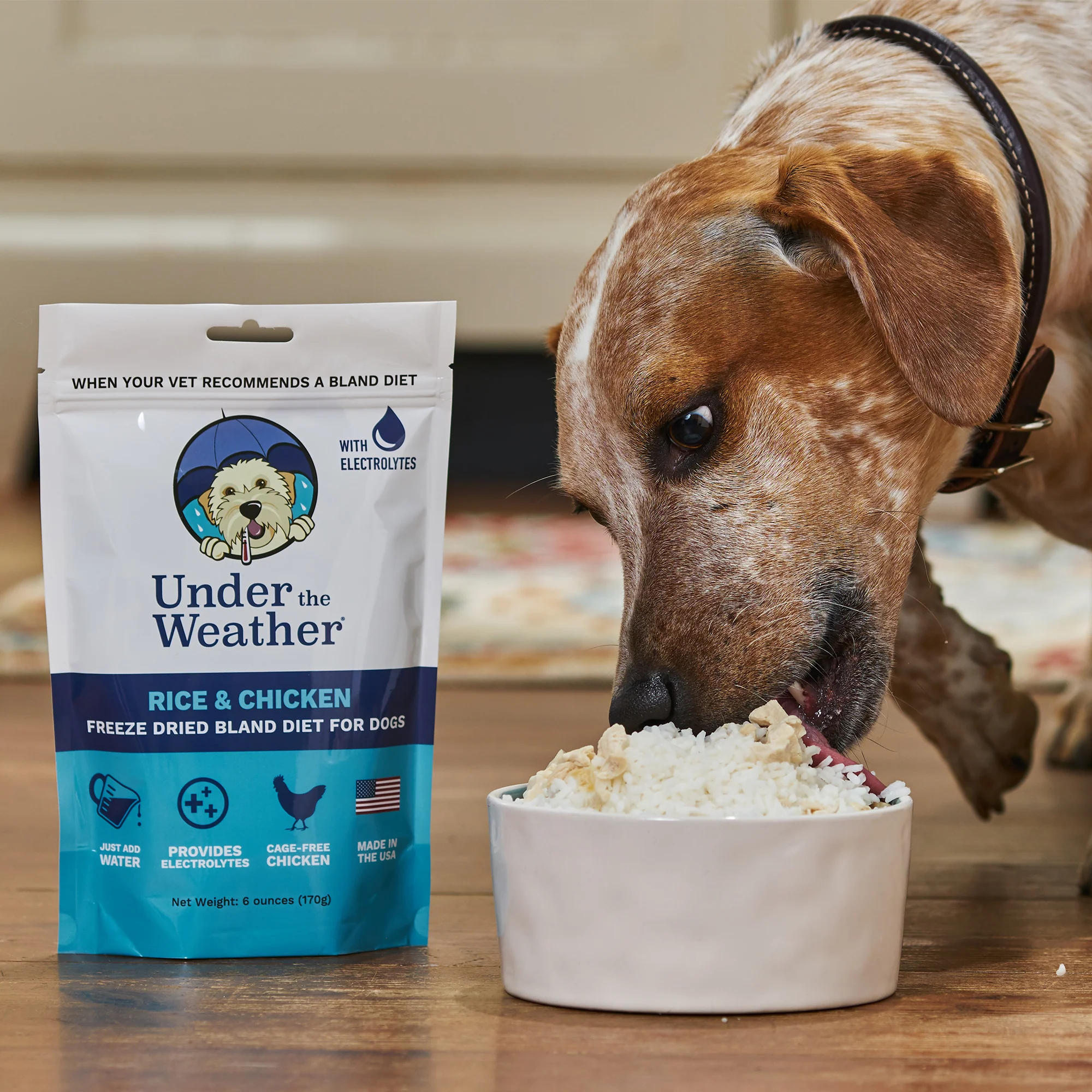 Chicken & Rice Bland Diet For Dogs - 6 pack - Image 9