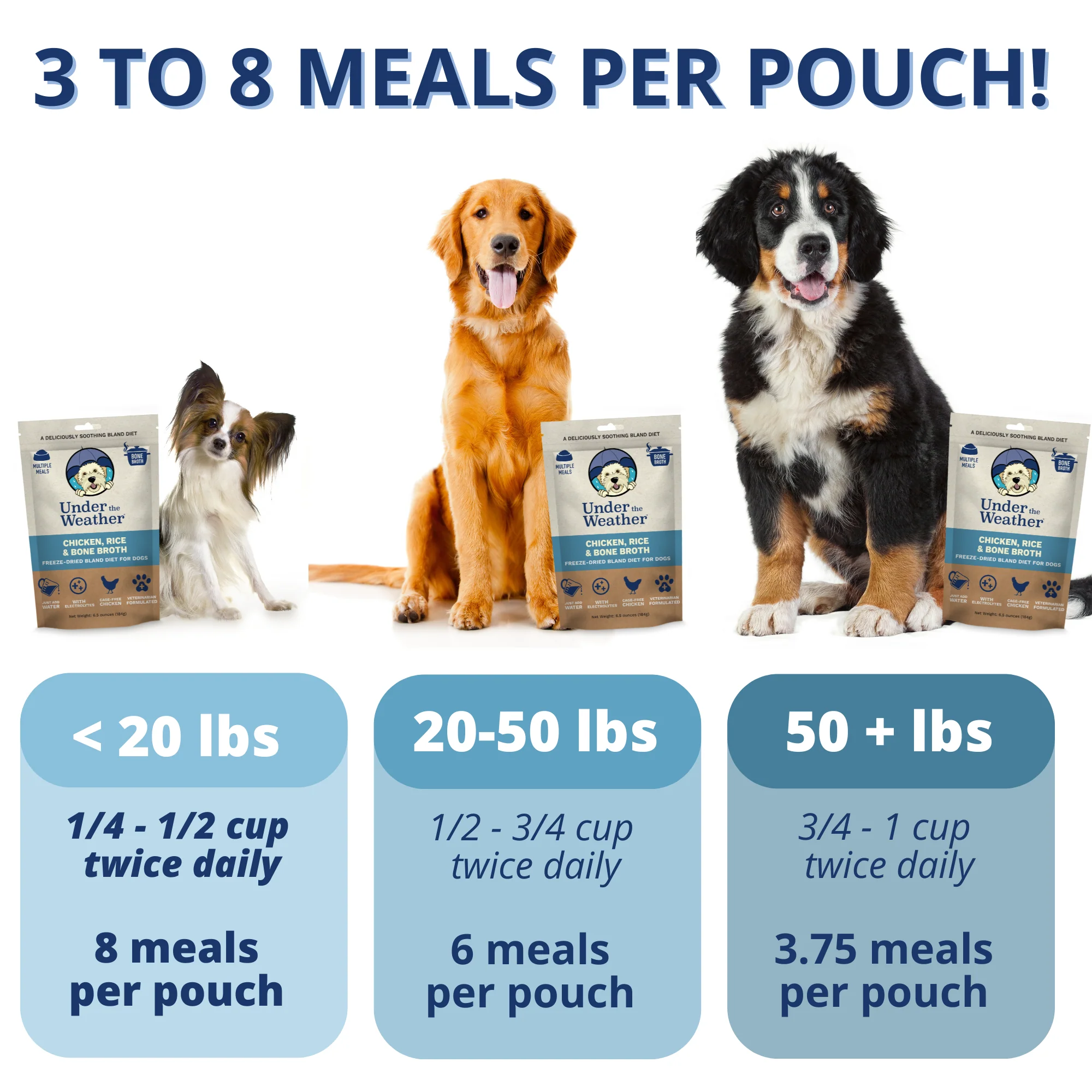 Chicken, Rice, & Bone Broth Bland Diet For Dogs - 6 pack - Image 3