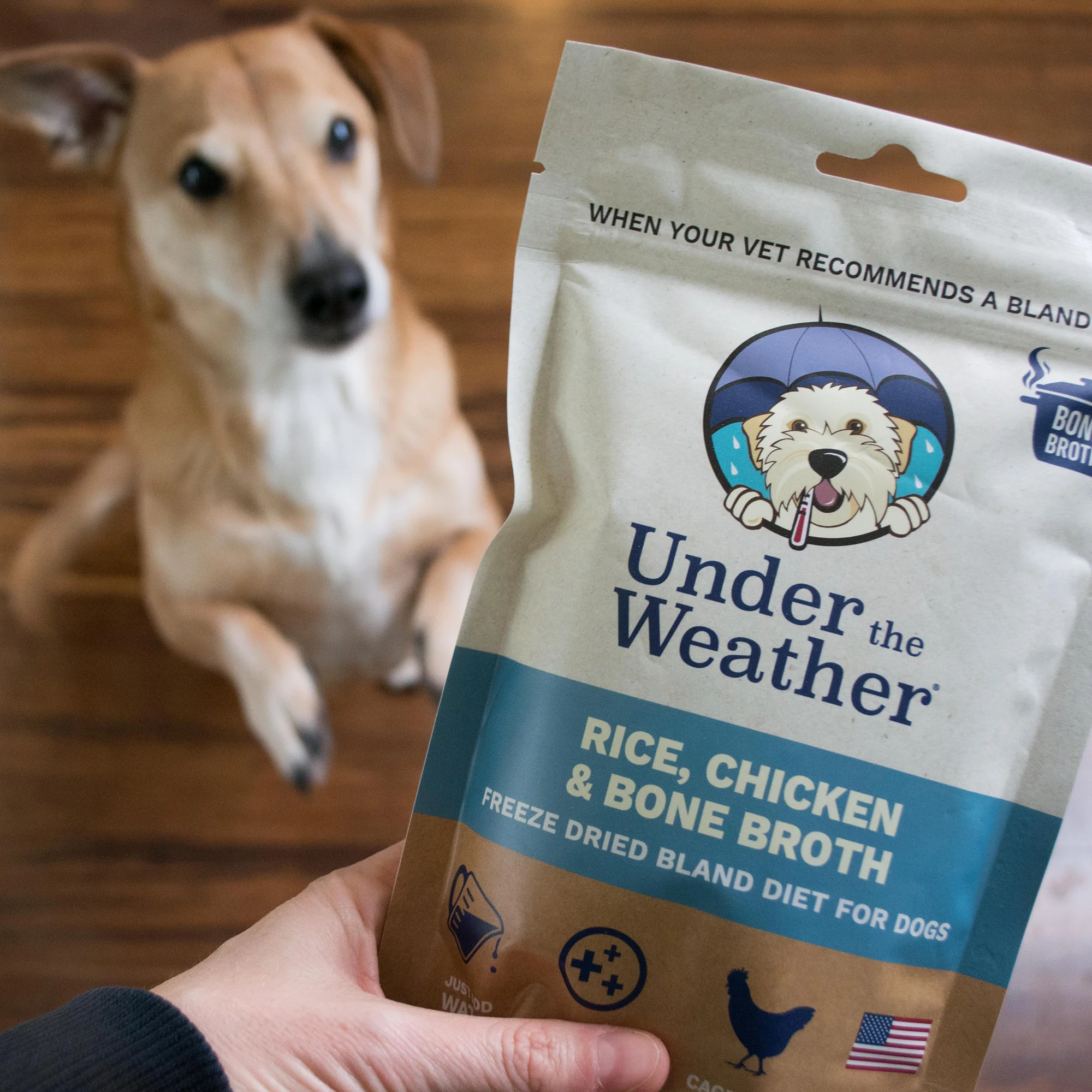 Chicken, Rice, & Bone Broth Bland Diet For Dogs - 6 pack - Image 8