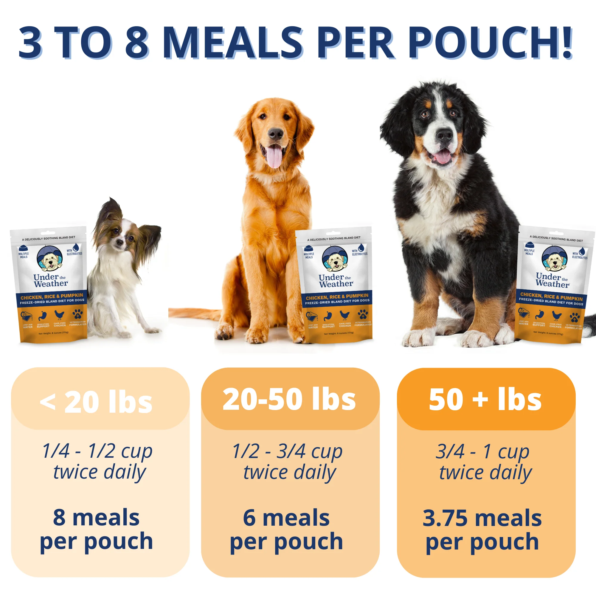 Chicken, Rice, & Pumpkin Bland Diet For Dogs - Image 3