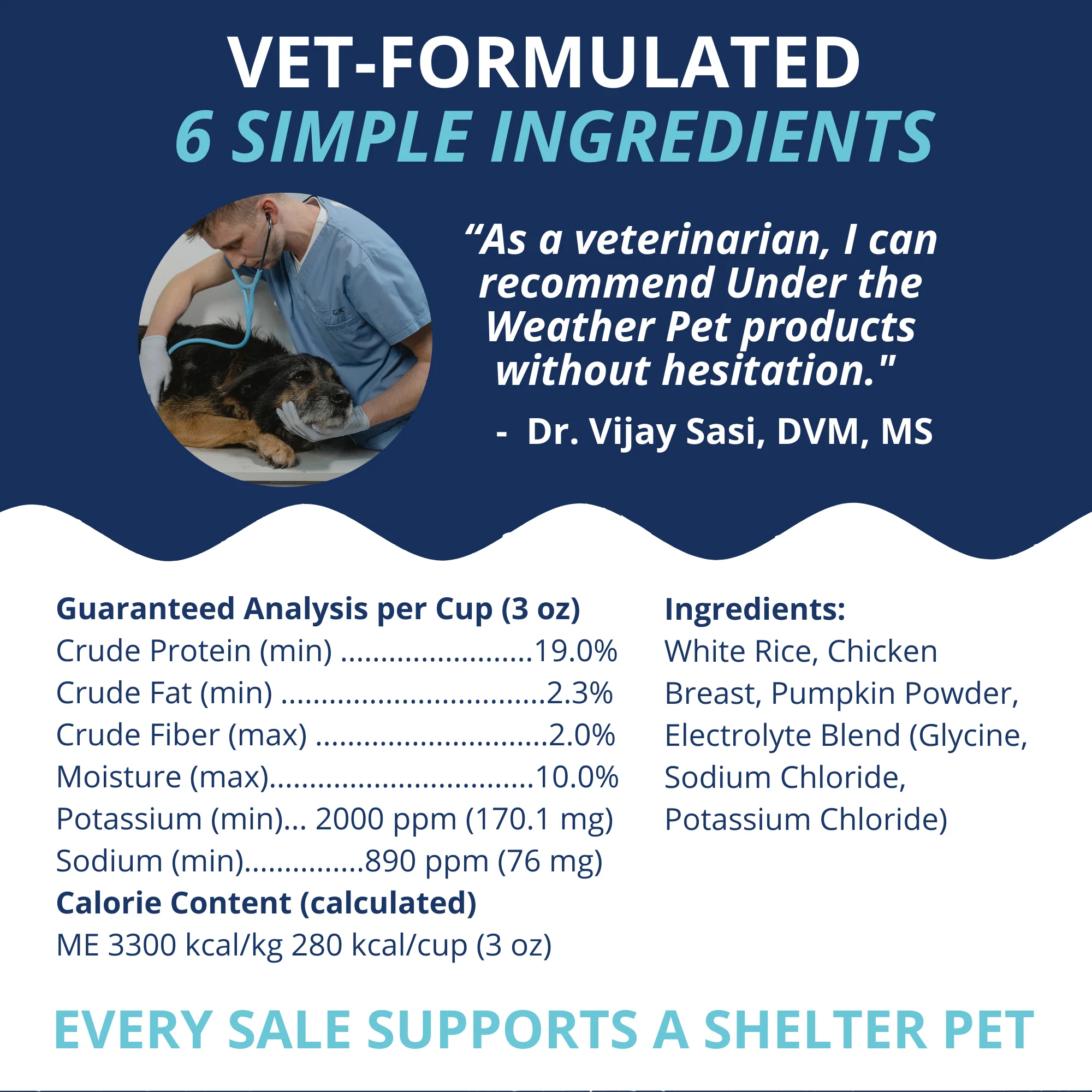 Chicken, Rice, & Pumpkin Bland Diet For Dogs - Image 4