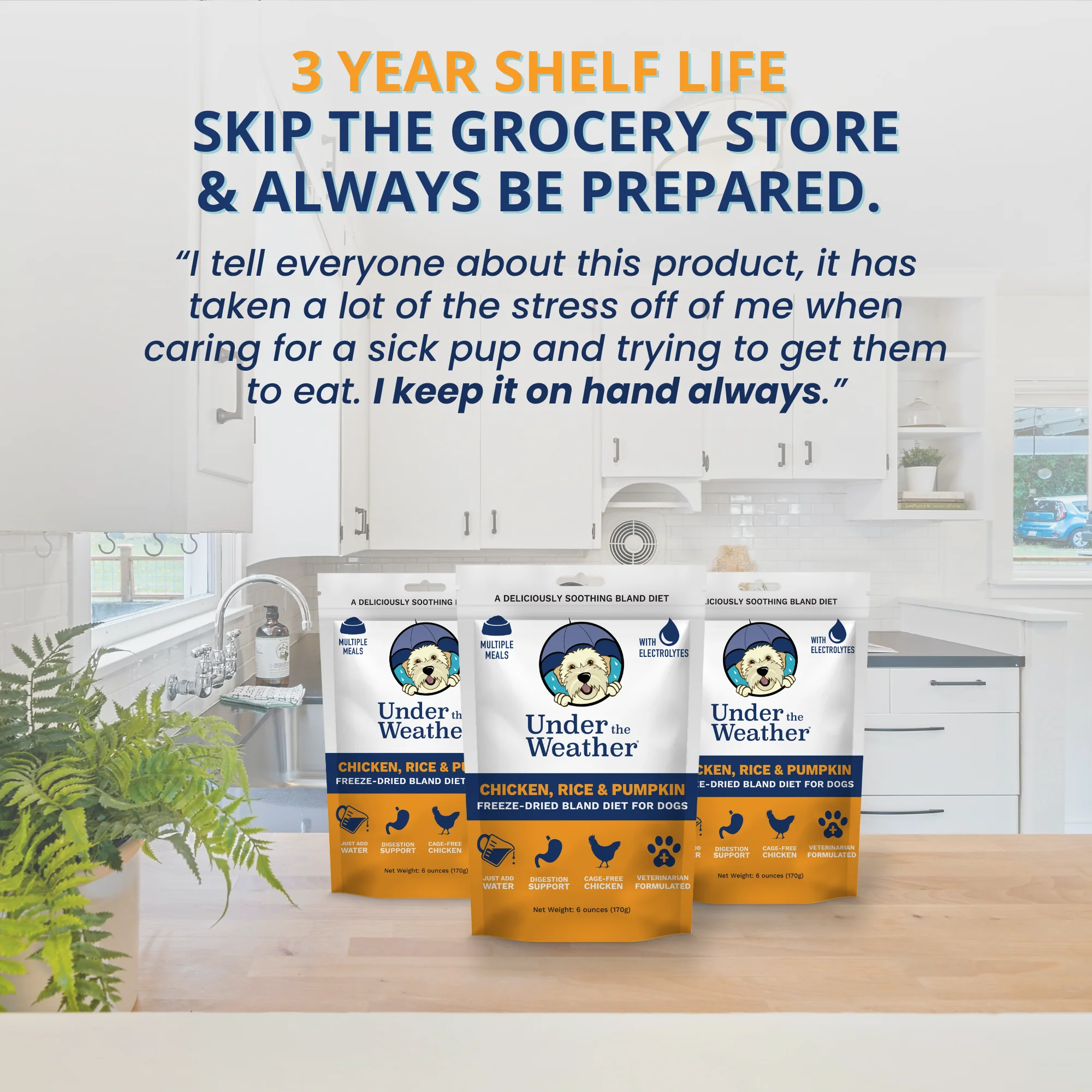 Chicken, Rice, & Pumpkin Bland Diet For Dogs - 6 Pack - Image 6