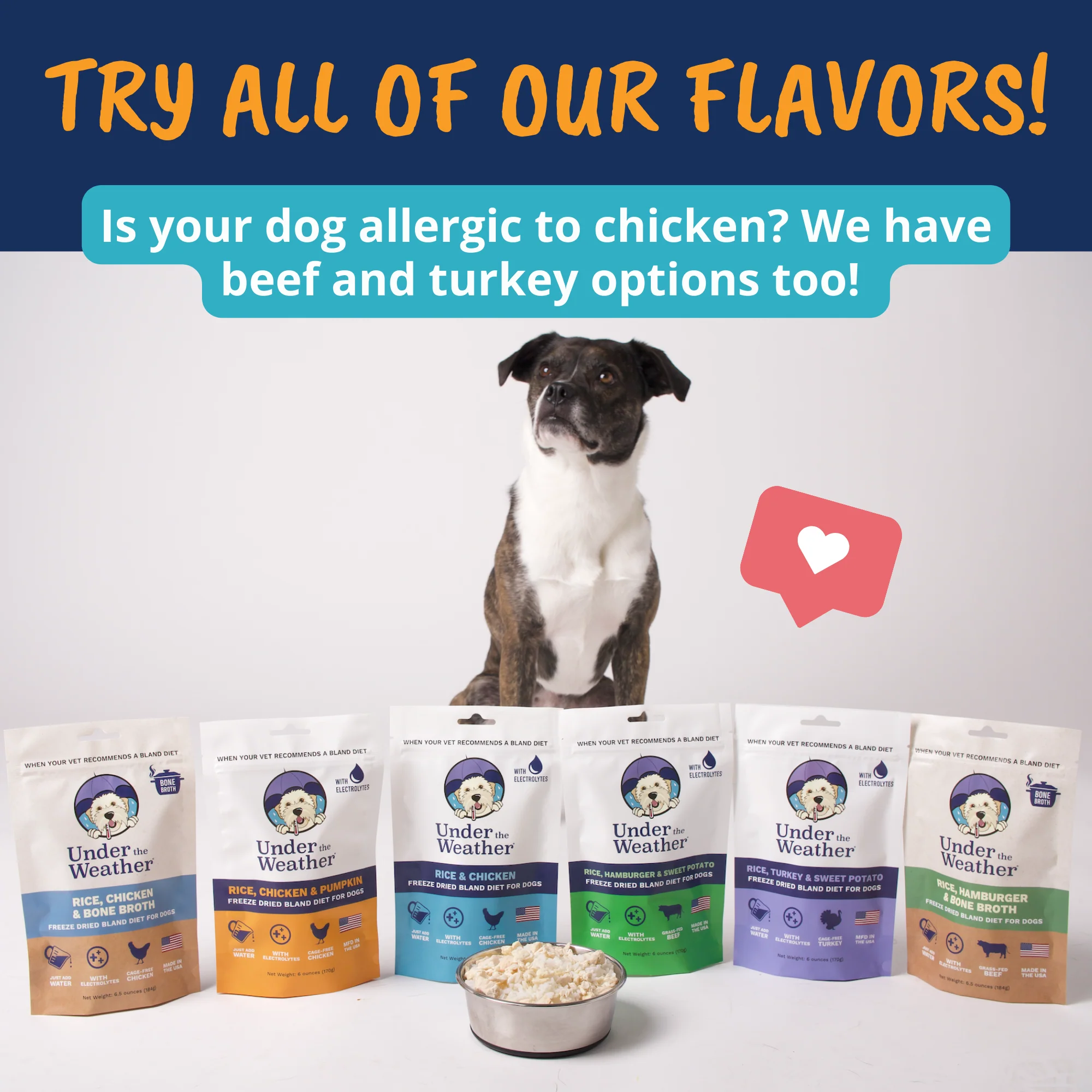 Chicken, Rice, & Pumpkin Bland Diet For Dogs - 6 Pack - Image 9