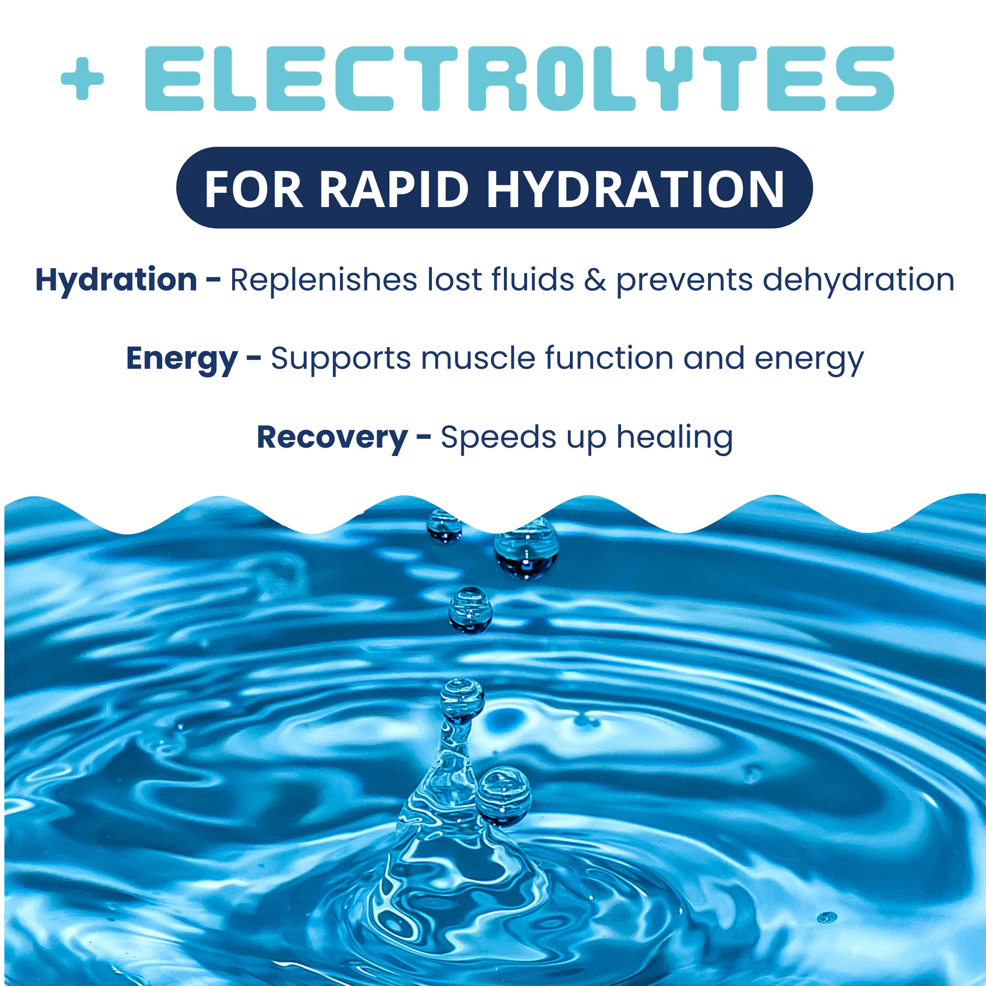 Hamburger, Rice, & Bone Broth Bland Diet For Dogs - Image 6