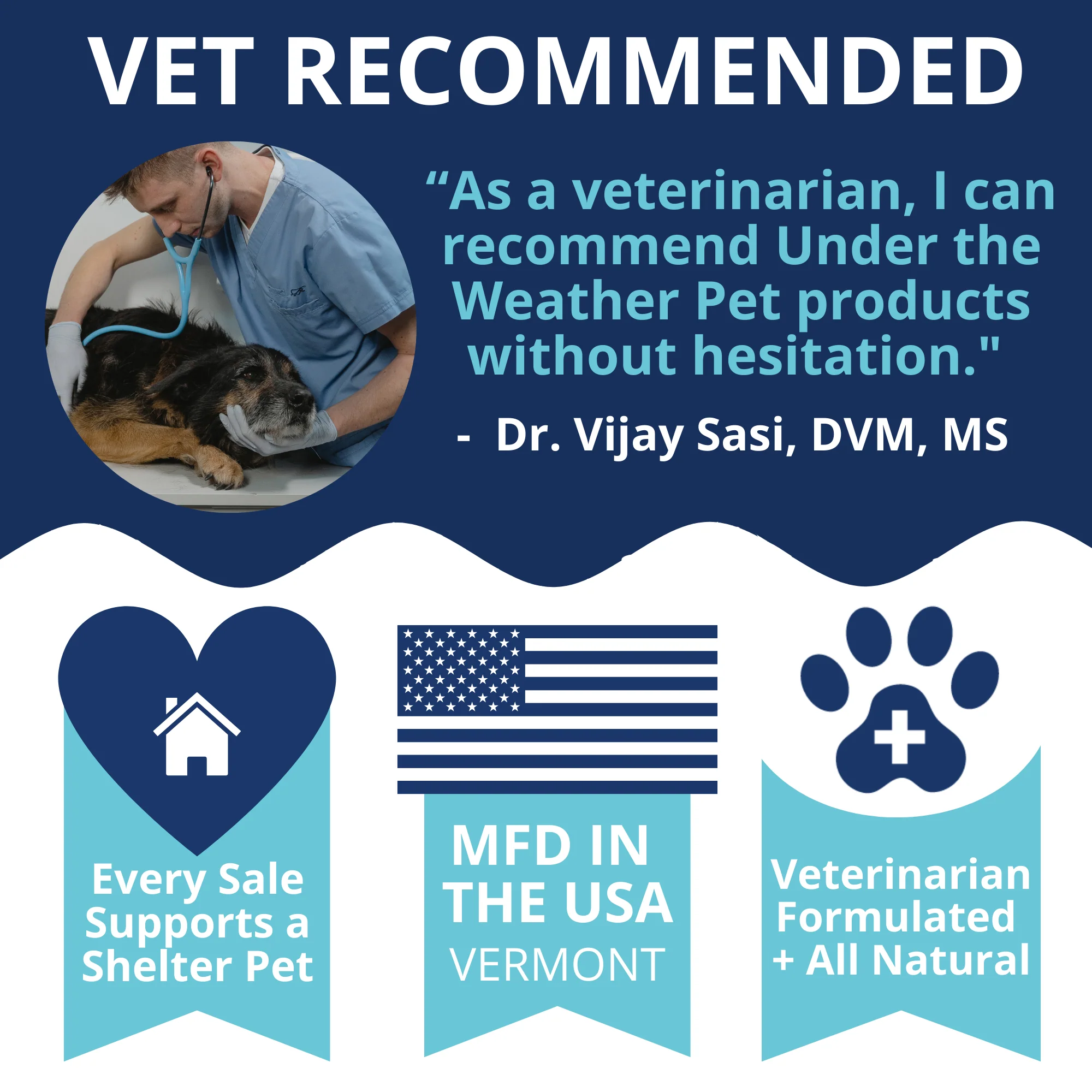 Hamburger, Rice, & Bone Broth Bland Diet For Dogs - Image 7