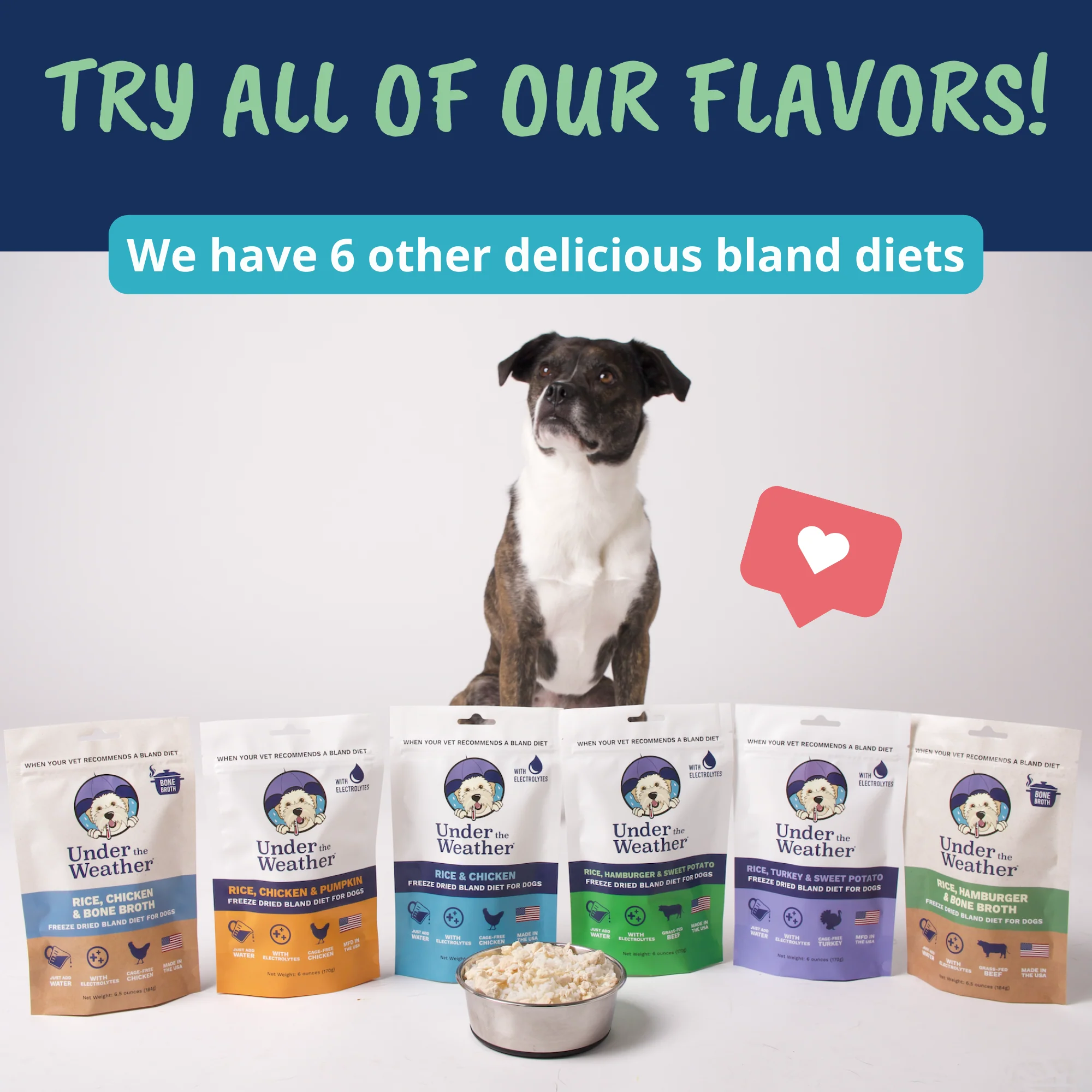 Hamburger, Rice, & Bone Broth Bland Diet For Dogs - Image 9