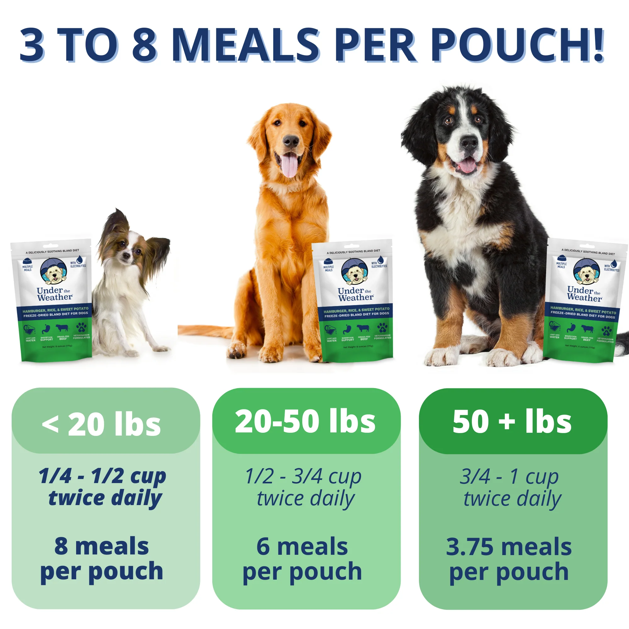 Hamburger, Rice, & Sweet Potato Bland Diet For Dogs - Image 3