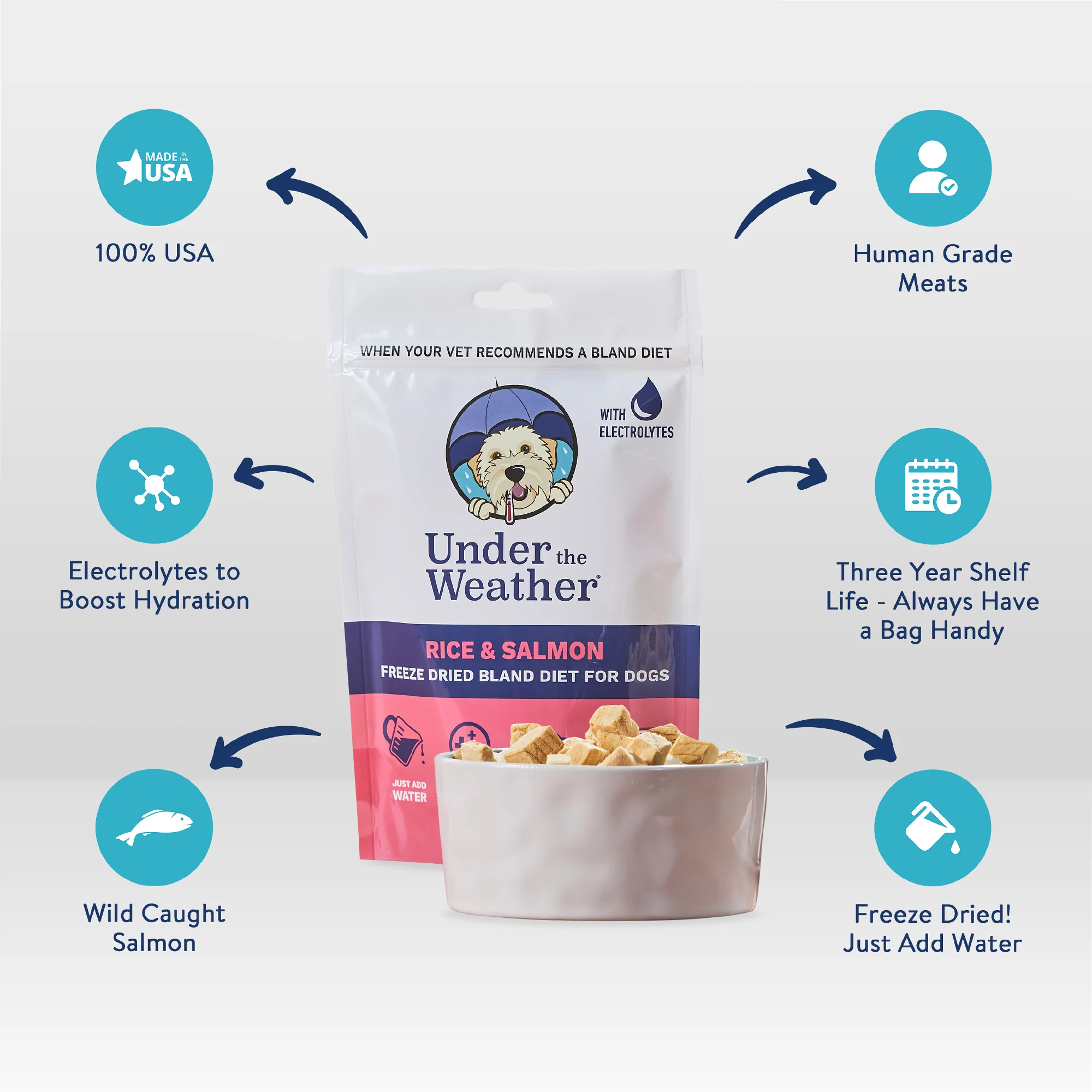 Salmon & Rice Bland Diet For Dogs - 6 pack - Image 3