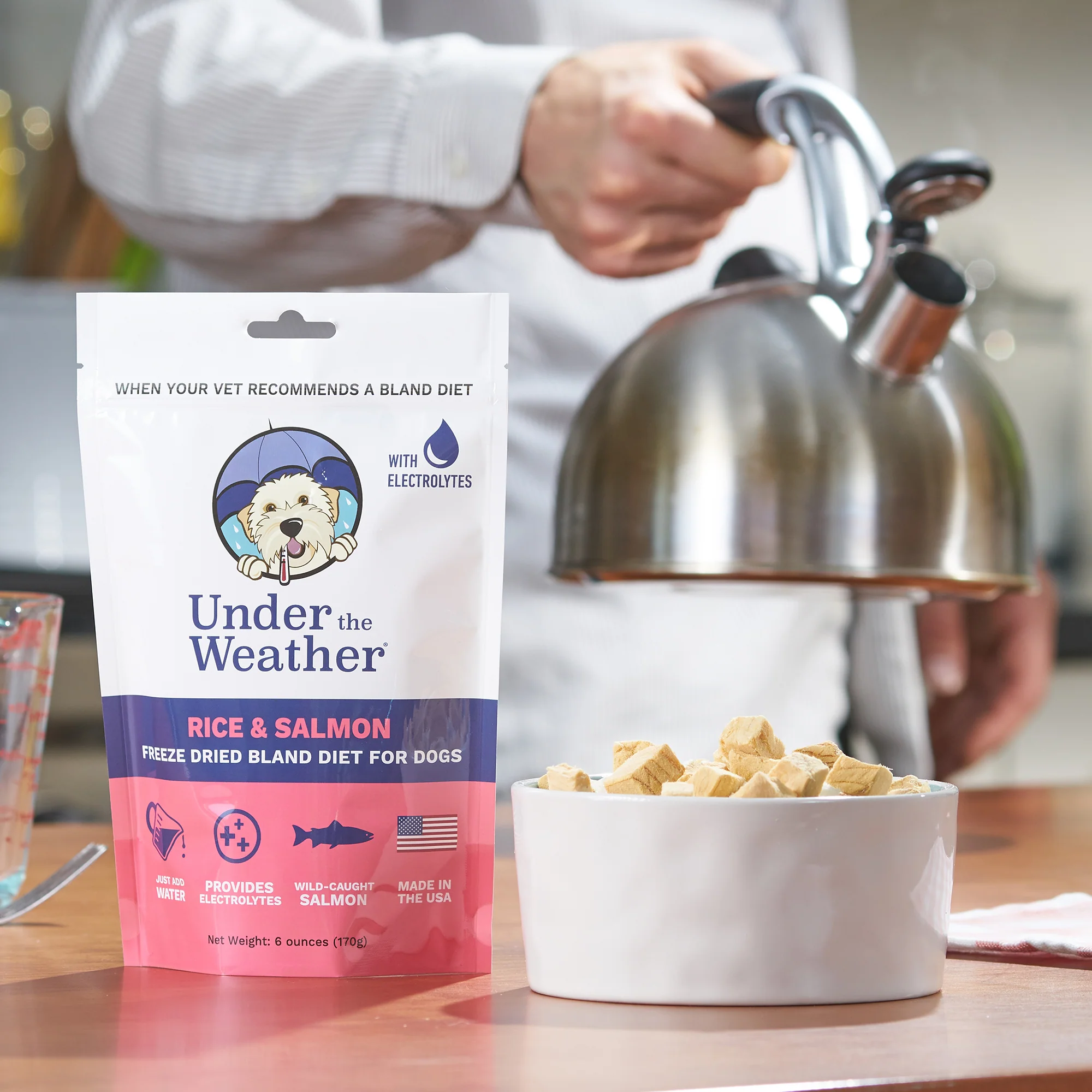 Salmon & Rice Bland Diet For Dogs - 6 pack - Image 5