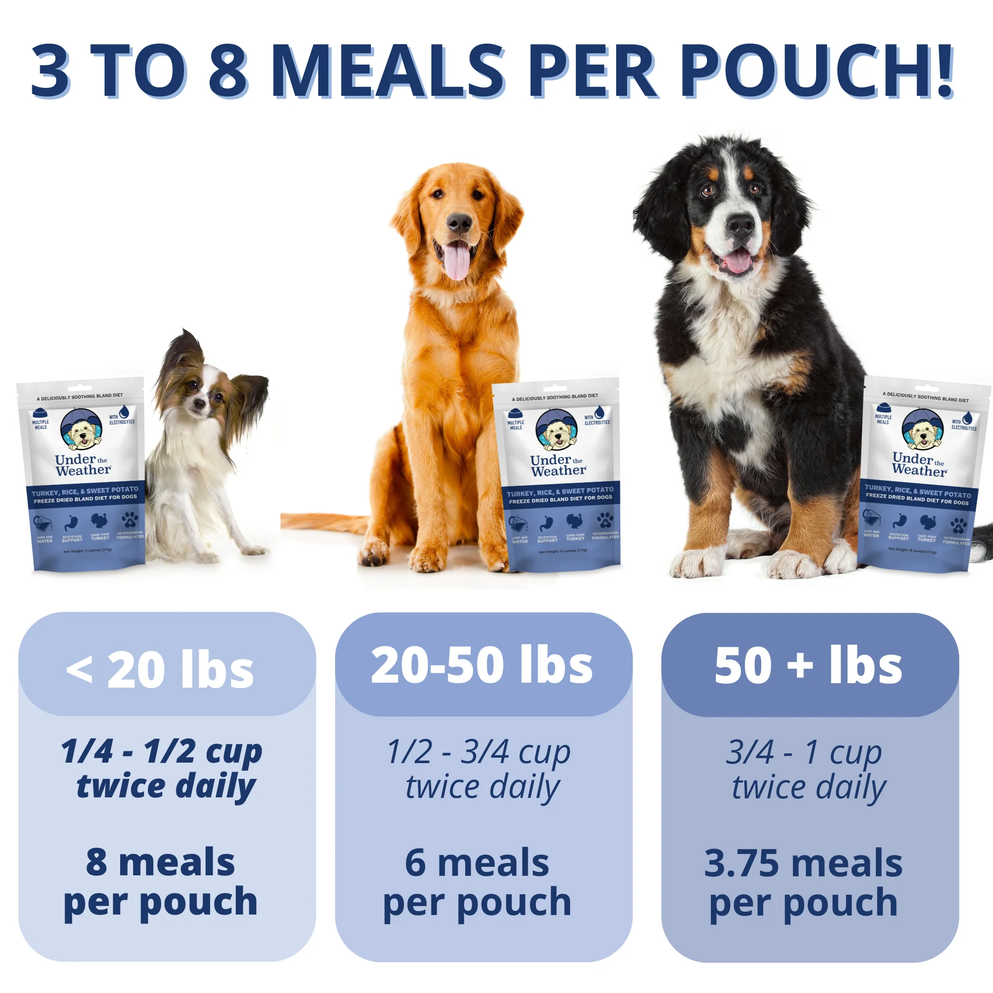 Turkey, Rice, & Sweet Potato Bland Diet For Dogs - Image 4