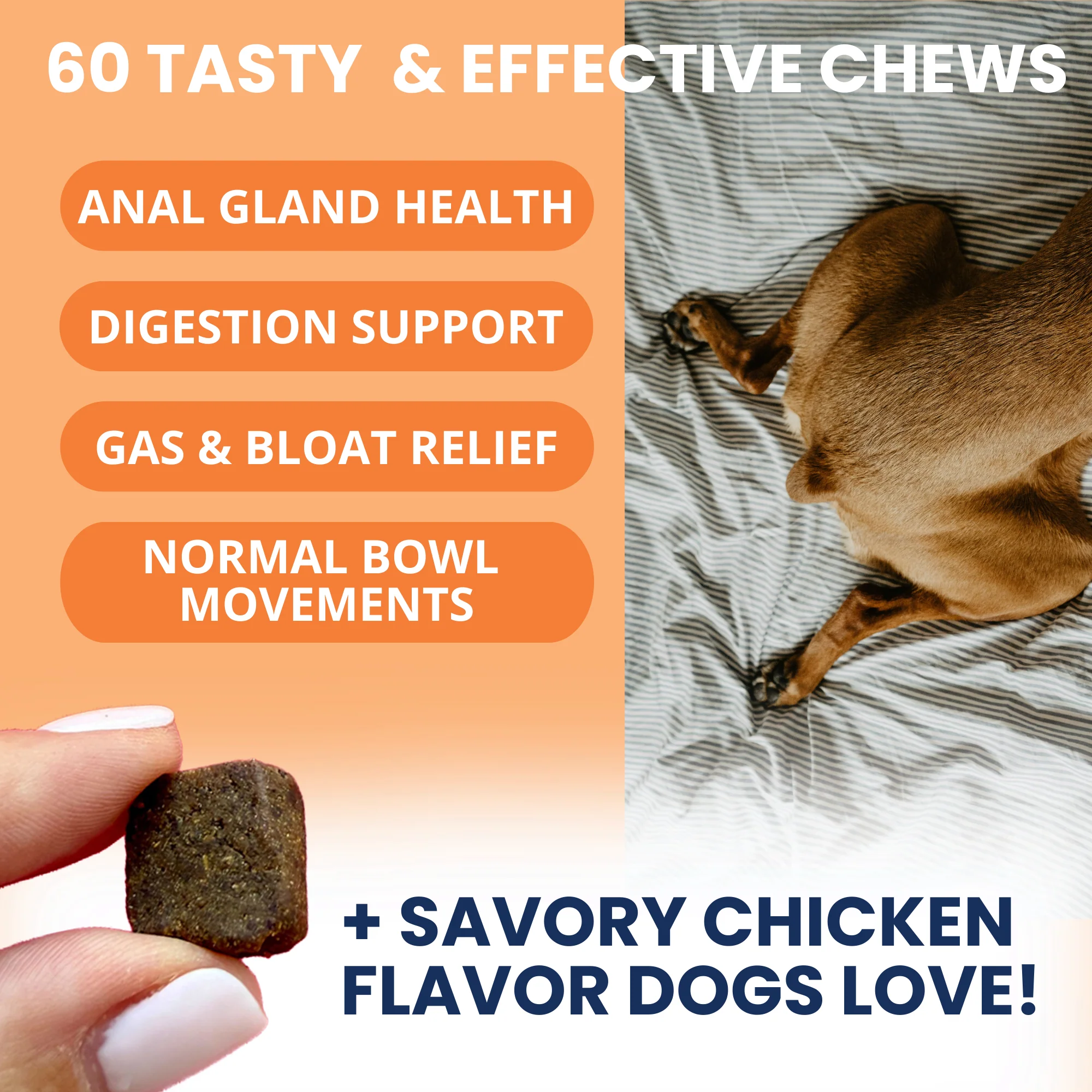 Scoot Stop - Anal Gland Support Chews for Dogs - Image 3