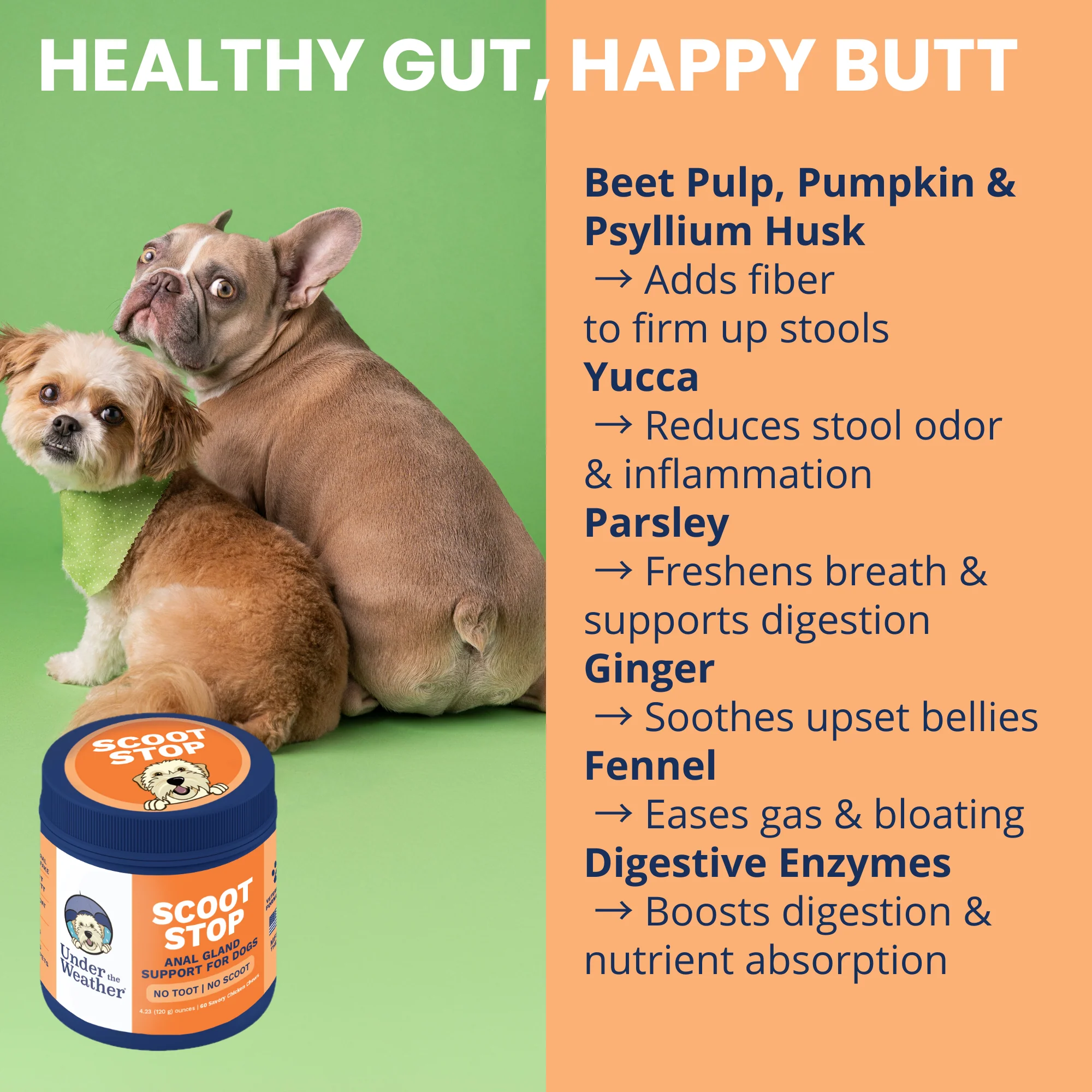 Scoot Stop - Anal Gland Support Chews for Dogs - Image 4