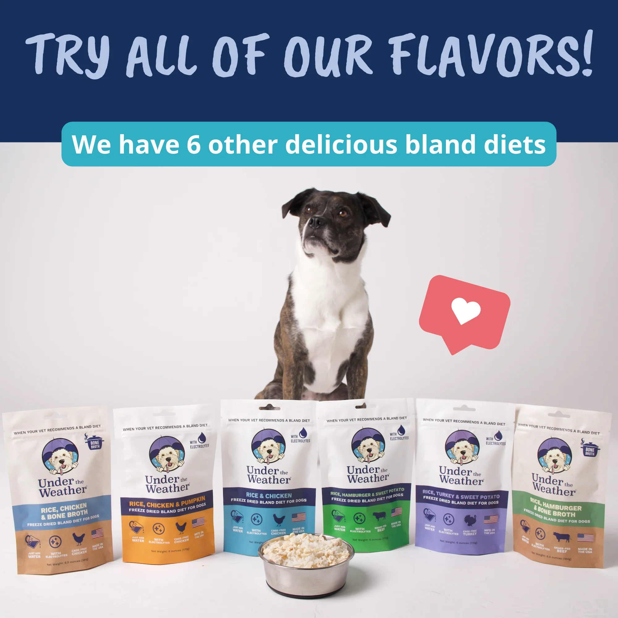 Turkey, Rice, & Sweet Potato Bland Diet For Dogs - Image 8