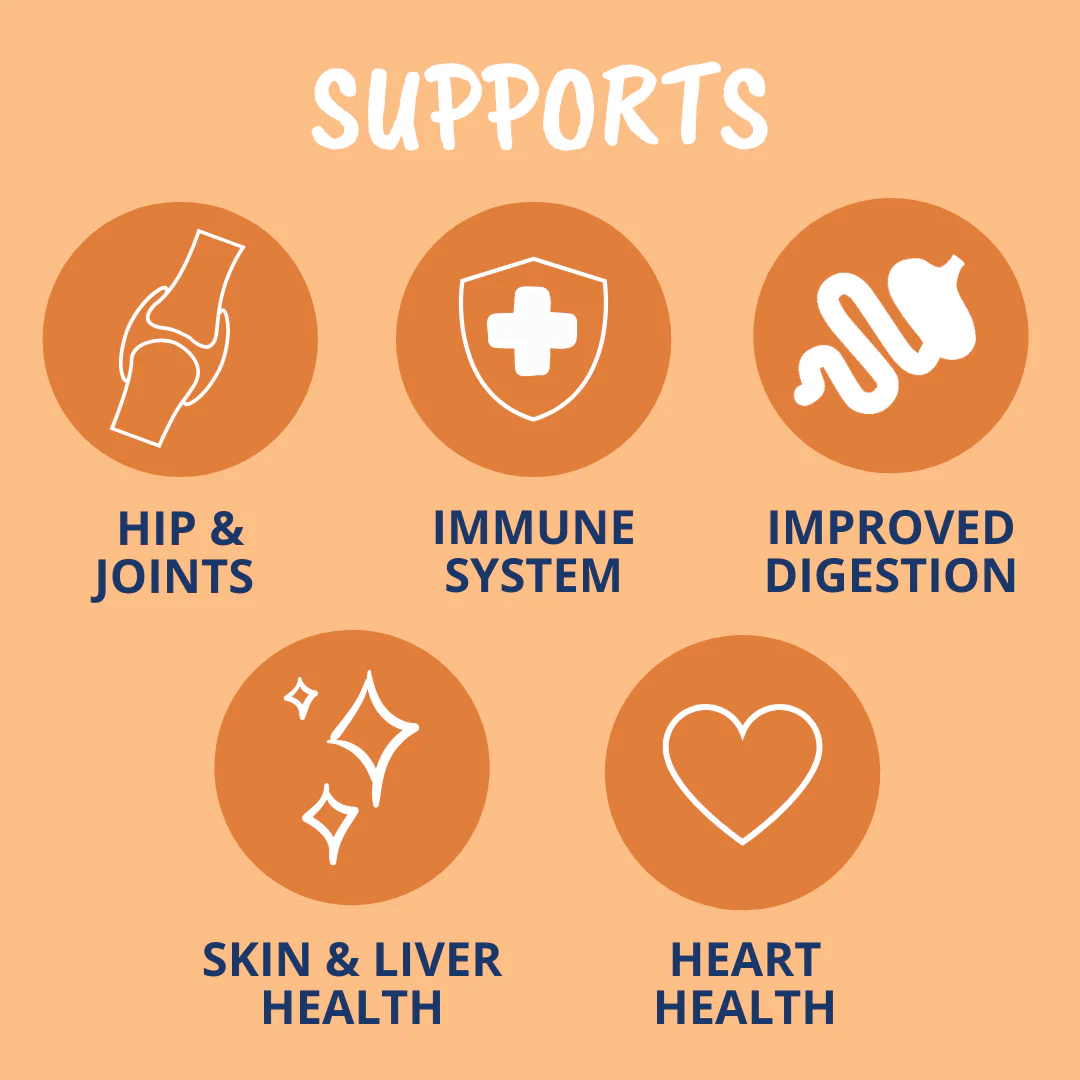 Turmeric & Curcumin Soft Chews for Dogs - Image 3