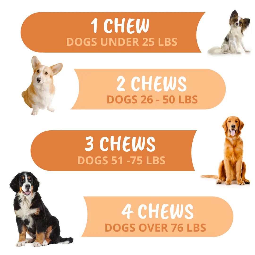Turmeric & Curcumin Soft Chews for Dogs - Image 5