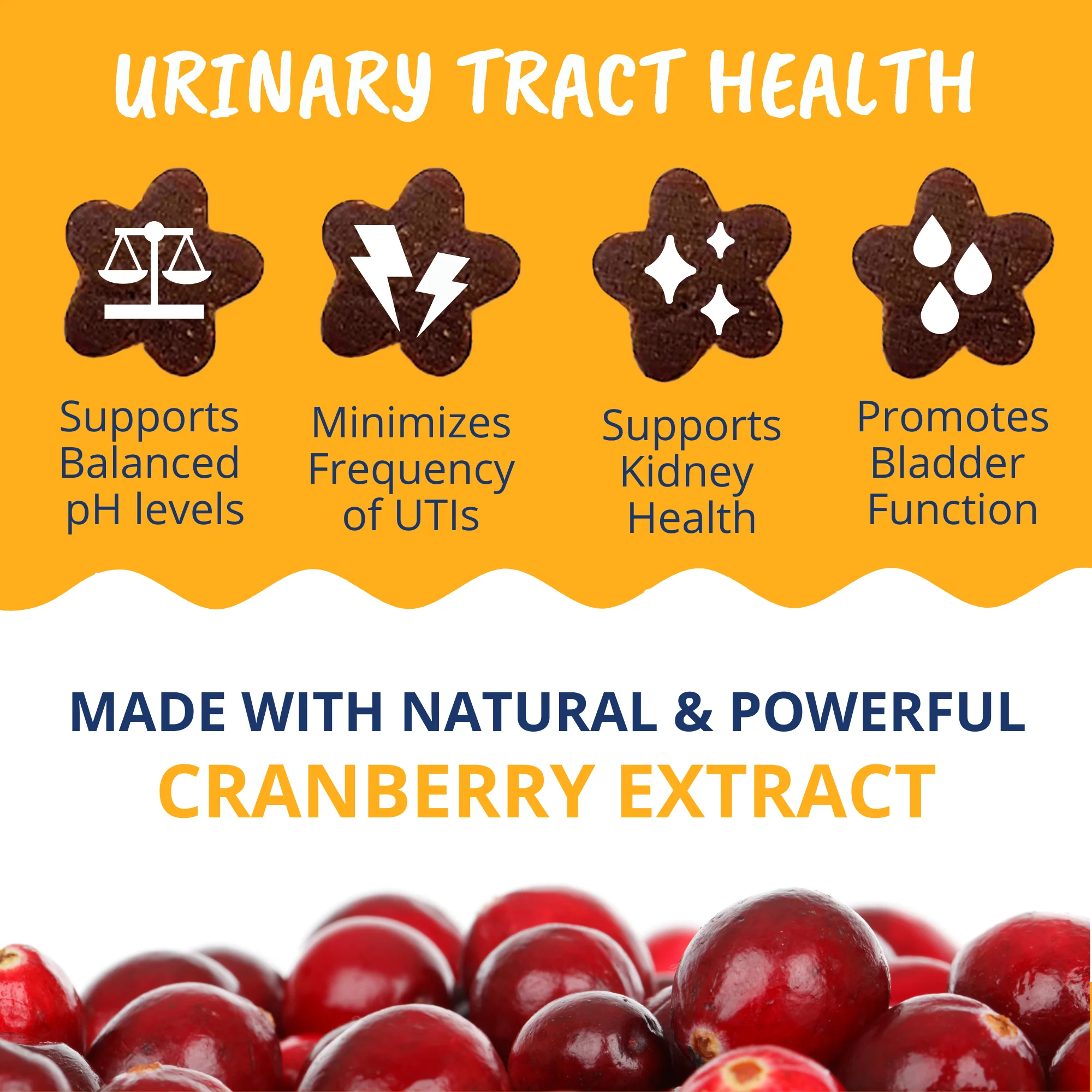 Urinary Support Soft Chews for Cats - Image 3