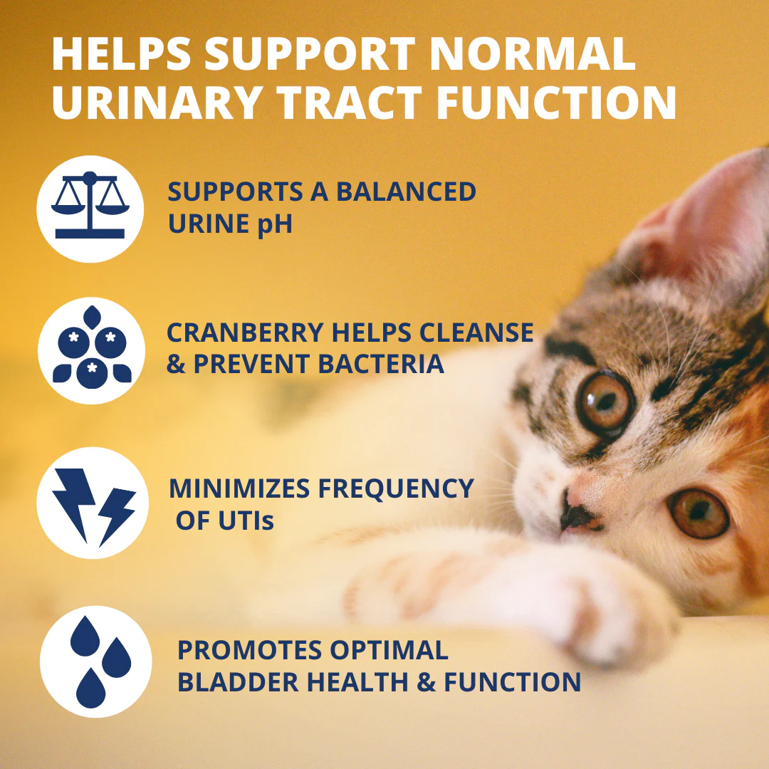 Urinary Support Soft Chews For Cats - Image 3