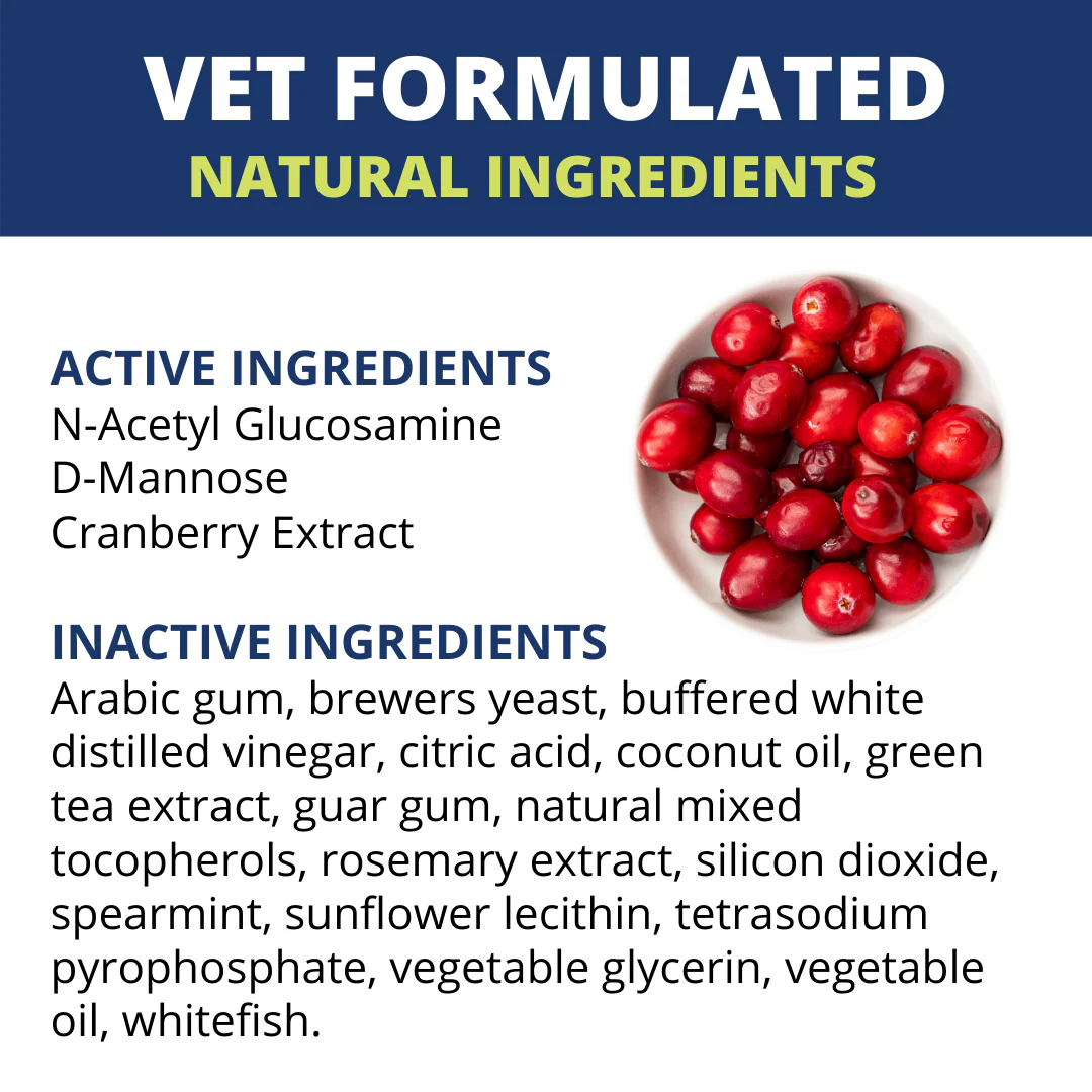 Urinary Support Soft Chews For Cats - Image 4