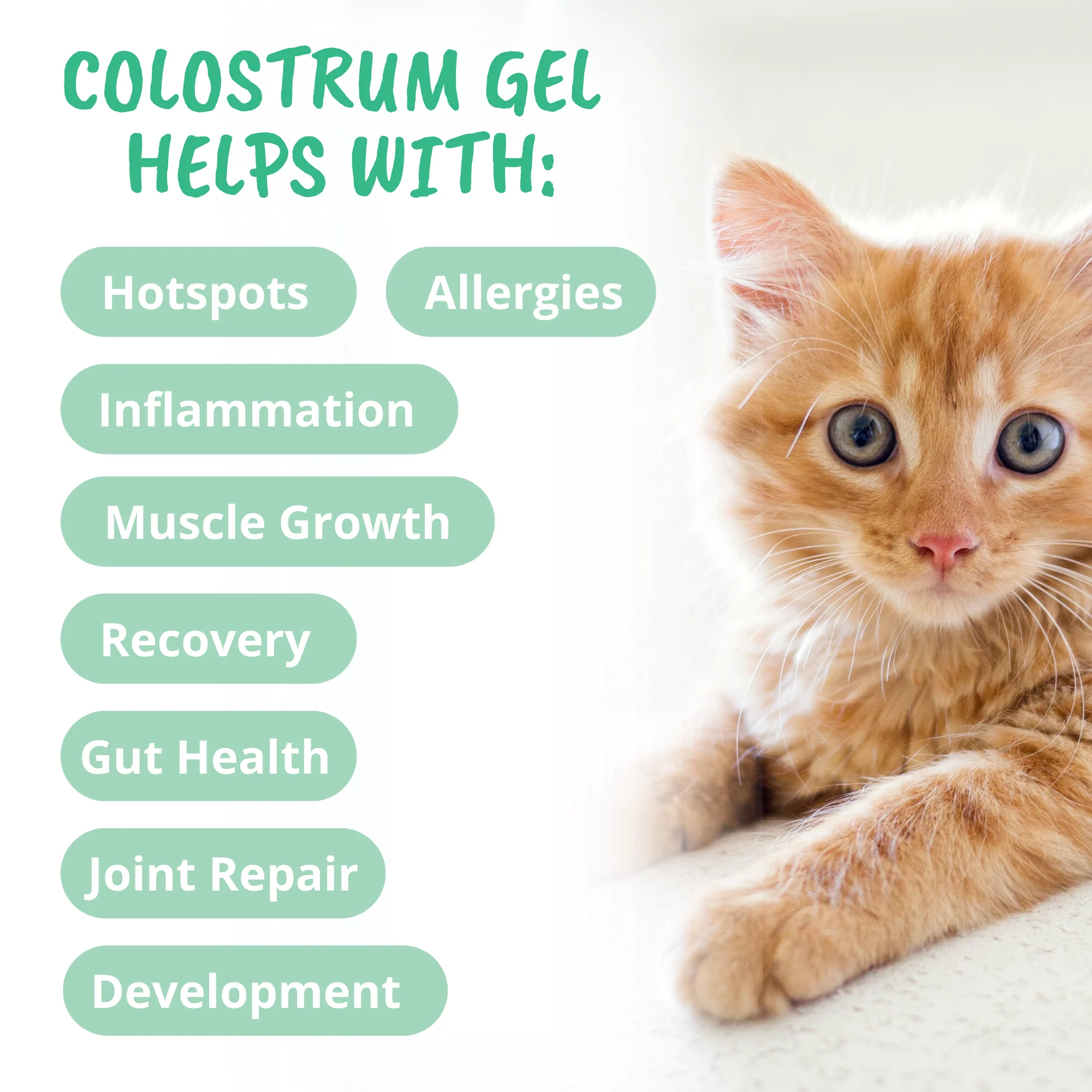 Vital Colostrum Squeezable Gel for Cats - Image 4